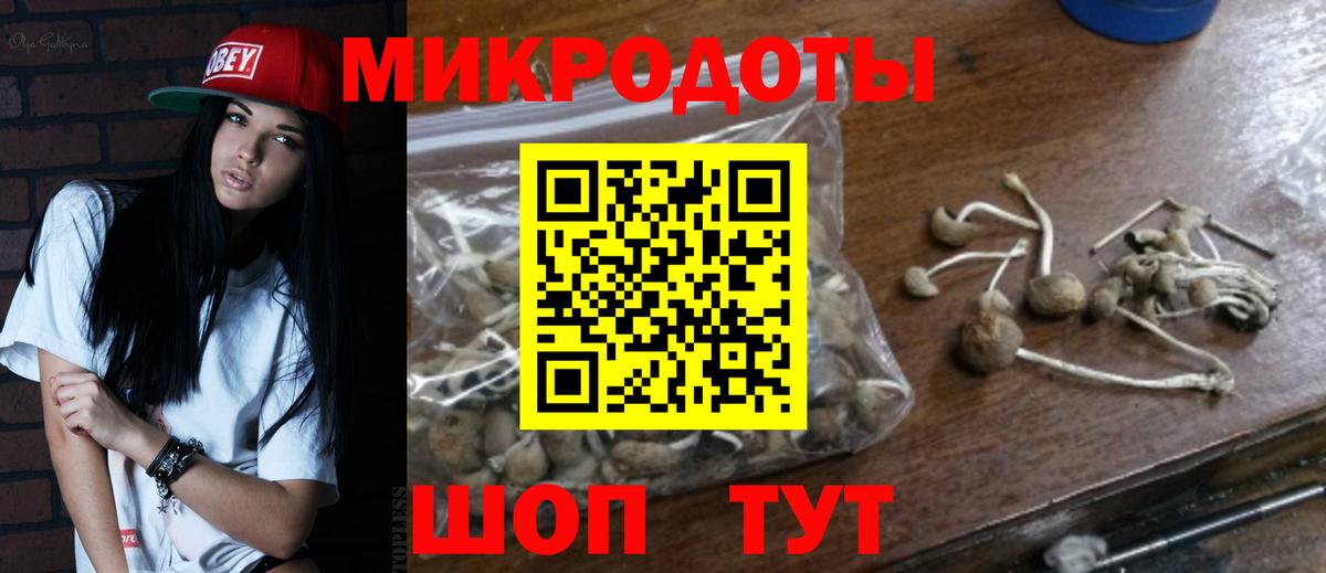 Галлюциногенные грибы прущие грибы Южноуральск